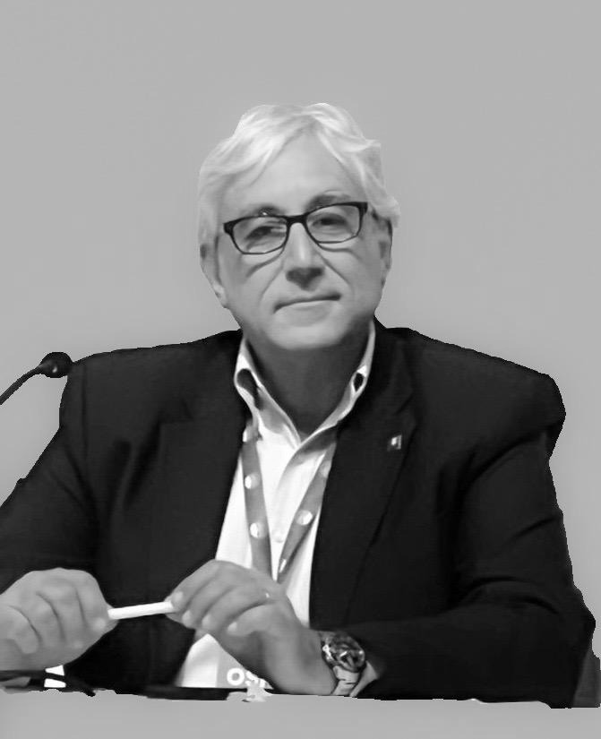 Amedeo Teti Amedeo Teti