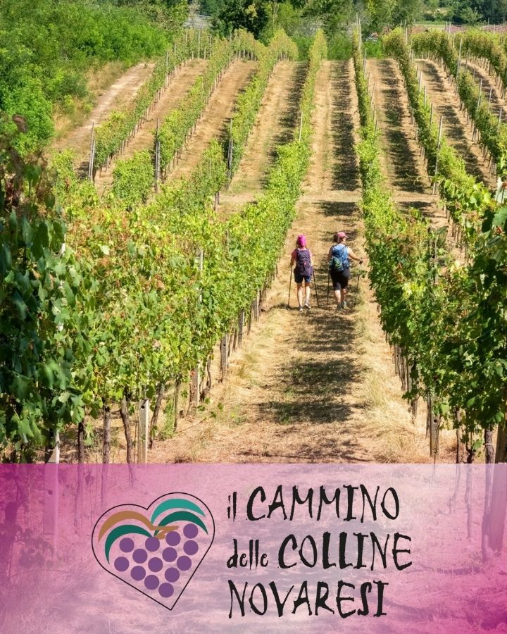 Il Cammino delle Colline Novaresi - Turismo lento nei paesaggi del vino