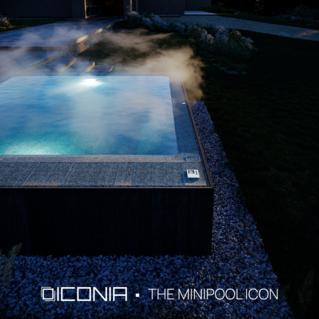 ICONIA - The Minipool Icon