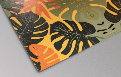 ELYDECOR
